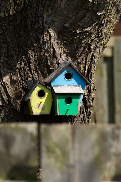 Weerbestendig Houten Vogelhuisje Aan Boom Eigen Tuin — Stockfoto