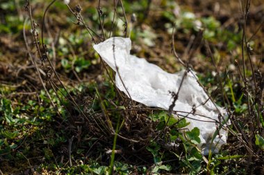 Yeşil yapraklara dolanmış selofan çanta. Çevre kirliliği. Plastik doğada