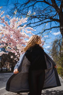 Şehrin sokaklarındaki ağaçta çiçeklerle sakura dalları. Çiçekli sakurayla sokakta dönen mutlu bir kadın. Açık havada çok şık bir kız. Sakura ağacı çiçek açar..