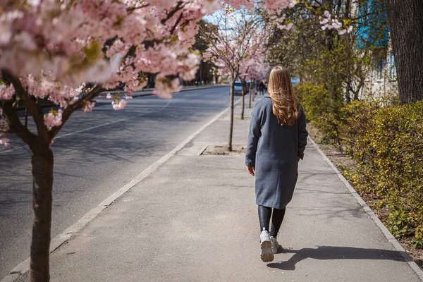 桜の枝が街中の木に花を咲かせます 灰色のパレットを着た幸せな女性が桜の咲く路地を歩いています 豪華な女の子は屋外で 桜が咲く — ストック写真