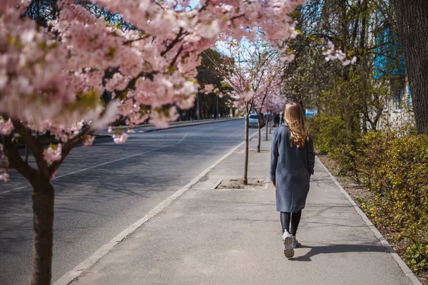 Sakura branches with flowers on a tree on the city streets. Happy woman girl in a gray palette walks along an alley with blooming sakura. Gorgeous fancy girl outdoors. Sakura tree blooming.