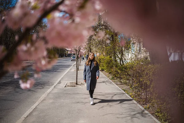 Sakura branches with flowers on a tree on the city streets. Happy woman girl in a gray palette walks along an alley with blooming sakura. Gorgeous fancy girl outdoors. Sakura tree blooming.