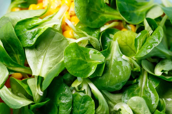 Espinafre Milho Tomate Salada Pepino Com Azeite Comida Uma Nutrição — Fotografia de Stock