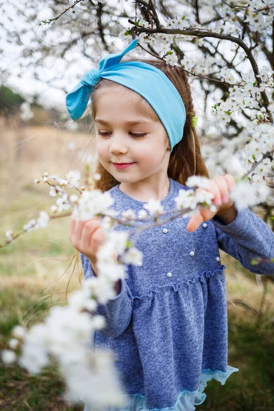 Fiatal Szőke Lány Áll Egy Virágzó Kertben Virágzó Cseresznye Egy — Stock Fotó