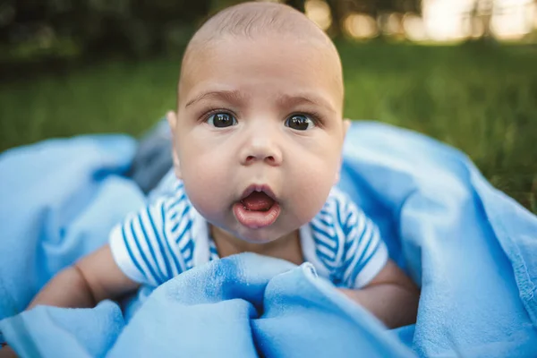 Маленький Мальчик Месяца Лежит Животе Синем Покрывале Парке Вокруг Зеленой — стоковое фото