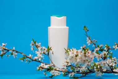 Kremalı beyaz şişe, saç şampuanı, duş jeli, izole edilmiş mavi arka plan, insan vücudunun güzelliği ve gençliği, çiçek açan ağaç.