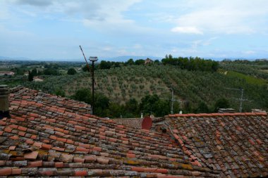 Kiremitli çatıları Vinci şehirde, Toskana, İtalya.