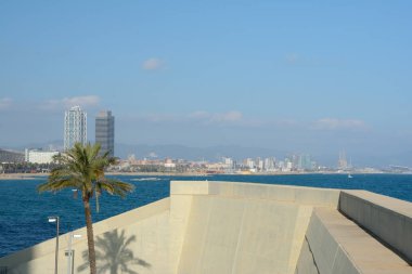 Barselona 'da deniz kıyısında beton duvar ve ağaç