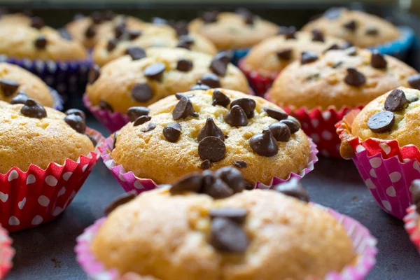 Cupcakes com pedaços de chocolate closeup — Fotografia de Stock