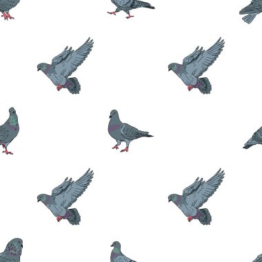 Beyaz arka planda şehir güvercinleri kusursuz desen, şehir güvercinleri, kumaş, tekstil, dekorasyon, kağıt için düzenlenebilir vektör çizimi