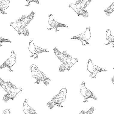Şehir güvercinleri beyaz arka planda siyah çizgiler, pürüzsüz desenler, şehir güvercinleri, kumaş, tekstil, dekorasyon, kağıt için düzenlenebilir vektör çizimleri.