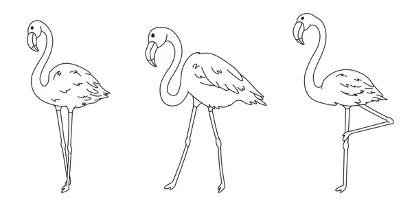 Set Cartoon Flamingos Black Lines Silhouettes Cute Wild Tropical Bird — Stock Vector