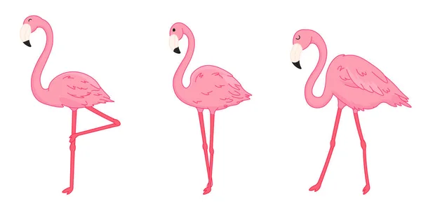 Cartoon Rosa Flamingos Isolierte Niedliche Wilde Tropische Vögel Editierbare Vektorillustration Stockvektor