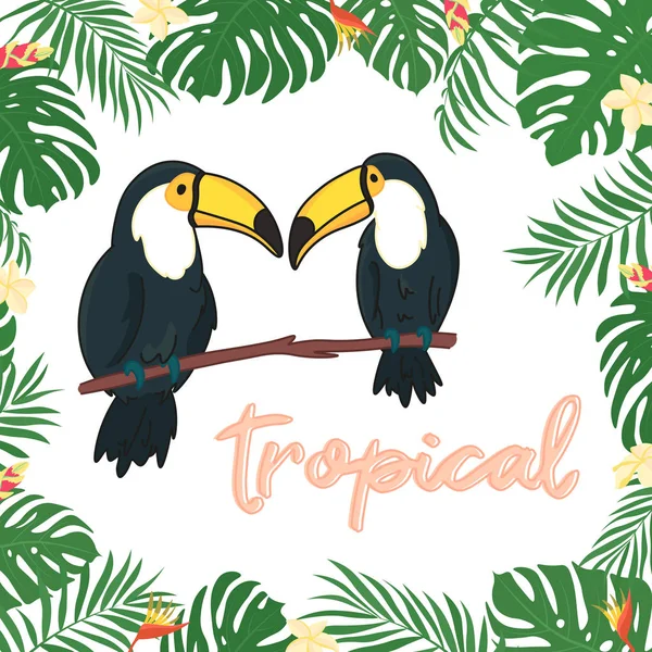 Bonito Cartoon Preto Tucanos Fundo Branco Aves Tropicais Selvagens Com — Vetor de Stock