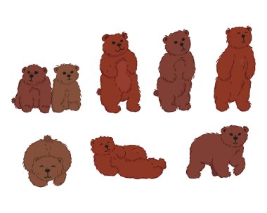 Tatlı çizgi film ayıları, izole edilmiş vahşi hayvanlar, boz ayılar, çocuk için düzenlenebilir vektör çizimleri kitap süslemeleri, baskılar, çıkartmalar.