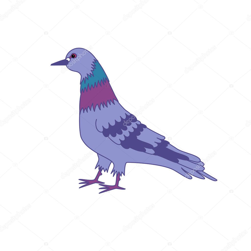 pigeon bird in cartoon style in blue. vector.