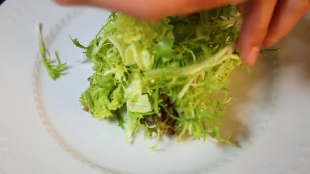 요리사들은 손으로 녹색 상추, 체리 토마토, 붉은 색 피망 조각을 흰색 plate.close-up 위에 펼쳐 놓는다. — 비디오