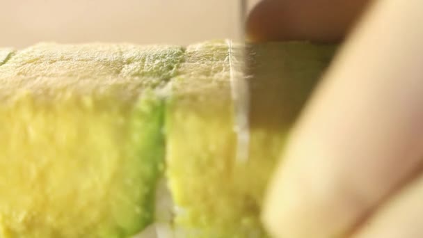 Detailní záběr nožem krájejícího sushi rolku rýže a uzeného úhoře nožem. — Stock video