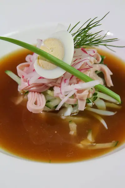 Beyaz bir tabakta Kvass Okroshka 'nın çok yakın çekimi. Rus soğuk çorbası..
