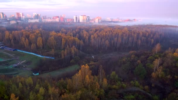 Piękna mgła nad miastem i jesiennym lasem. — Wideo stockowe