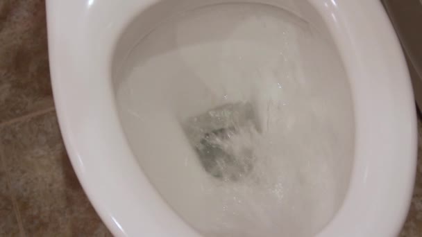 Промывка воды в белом туалете . — стоковое видео