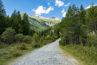 İtalyan Alplerinde kirli yol