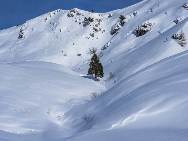 Krajobraz zimowy w Alpach Włoskich — Zdjęcie stockowe