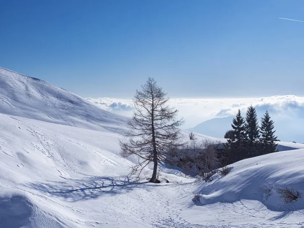 Paisagem de inverno nos alpes italianos — Fotografia de Stock