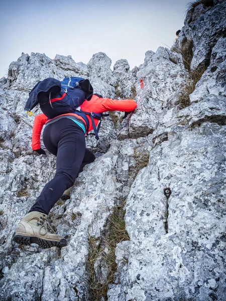 爬阿尔卑斯山的女人 — 图库照片