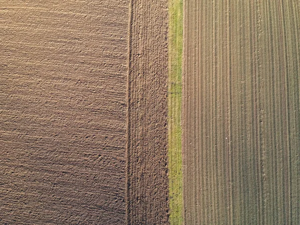 Campo Agrícola Visto Desde Arriba Por Dron —  Fotos de Stock