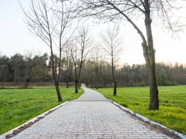 Halka açık bir parkta sokak arasında.