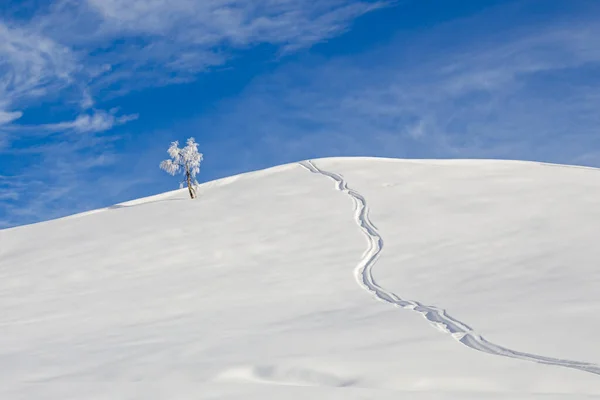 Winter landscape in the alps