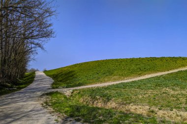Halka açık bir parkta sokak arasında.