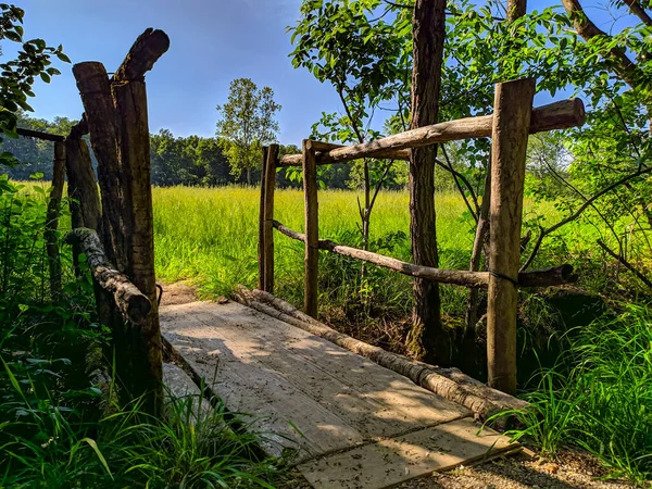 Wood bridge on a creek