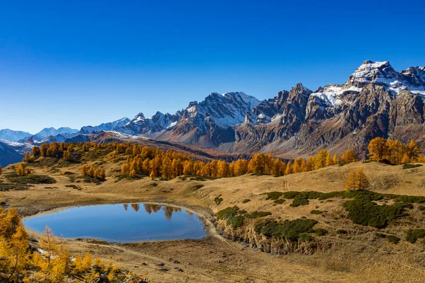 Herbstliche Farben Den Italienischen Alpen Der Alpe Devero — Stockfoto