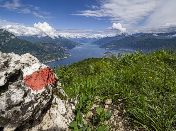 Landscape of Lake Como from an alpine trail