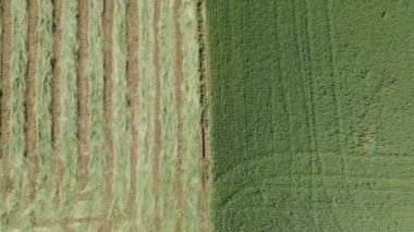 Topraklanmış bir tarlanın hava görüntüsü