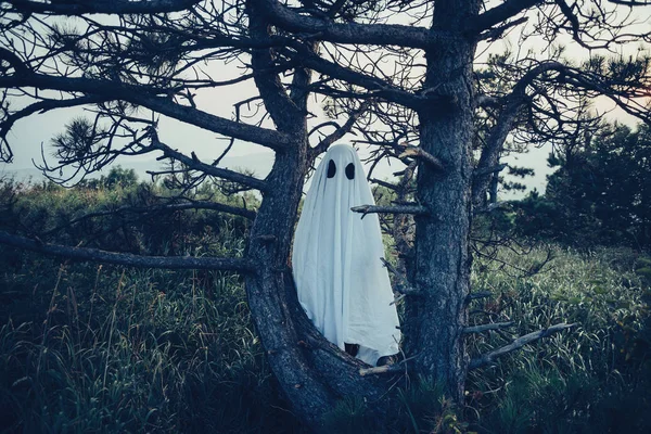 Fantasma de folha branca — Fotografia de Stock