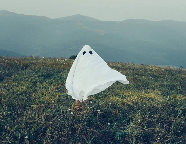 Weiße Gespenster auf der Herbstwiese — Stockfoto