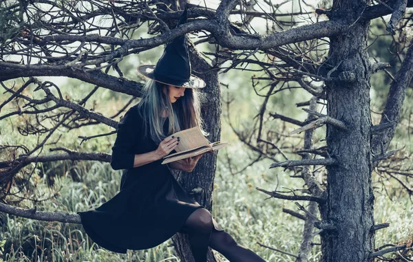 Sorcière lisant un livre en forêt — Photo