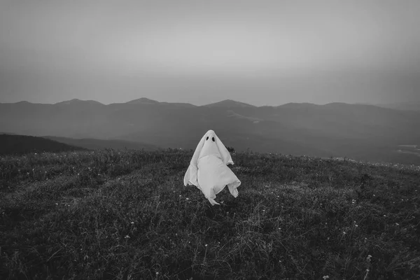 Fantasma volando en el prado — Foto de Stock