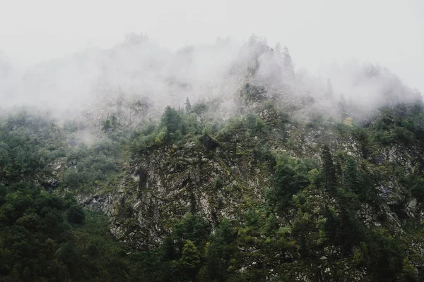 Nebbia nelle montagne rocciose — Foto Stock