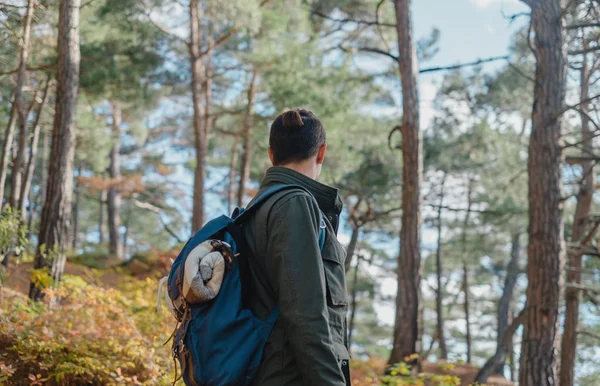 認識できない旅行者のバックパックを秋の森を歩く若い男 — ストック写真