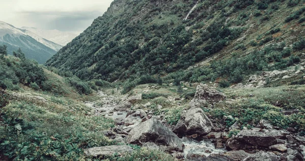 Montaña Arroyo Entre Hierba Verde Piedras Valle Del Verano — Foto de Stock