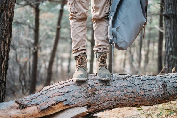 Explorador em pé no tronco da árvore — Fotografia de Stock