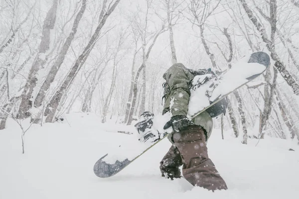 Snowboardzista spaceru w lesie zimą — Zdjęcie stockowe