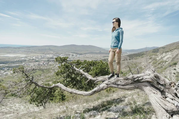 Jovem Exploradora Árvore Olhando Para Distância — Fotografia de Stock