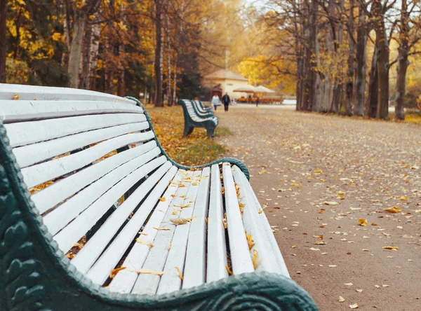 Деревянная скамейка в осеннем парке. — стоковое фото