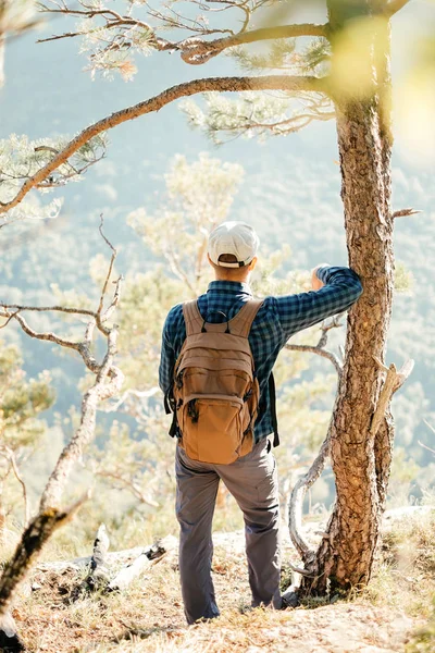 Explorador masculino caminhando na floresta . — Fotografia de Stock