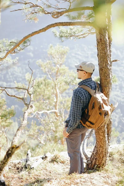 Человек-рюкзак стоит возле дерева . — стоковое фото